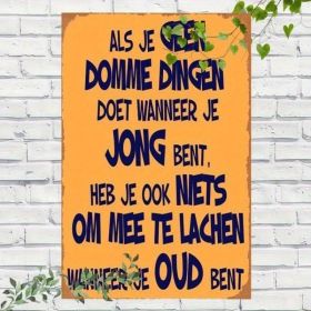 CIFbuy 1pc Retro Dutch Saying Metal Sign Funny Orange Wall Art With Blue Lettering Vintage Home Decor For Cafe Pub Garage 12x8 Inch TikTok, TikTo (Option: defaulttitle)